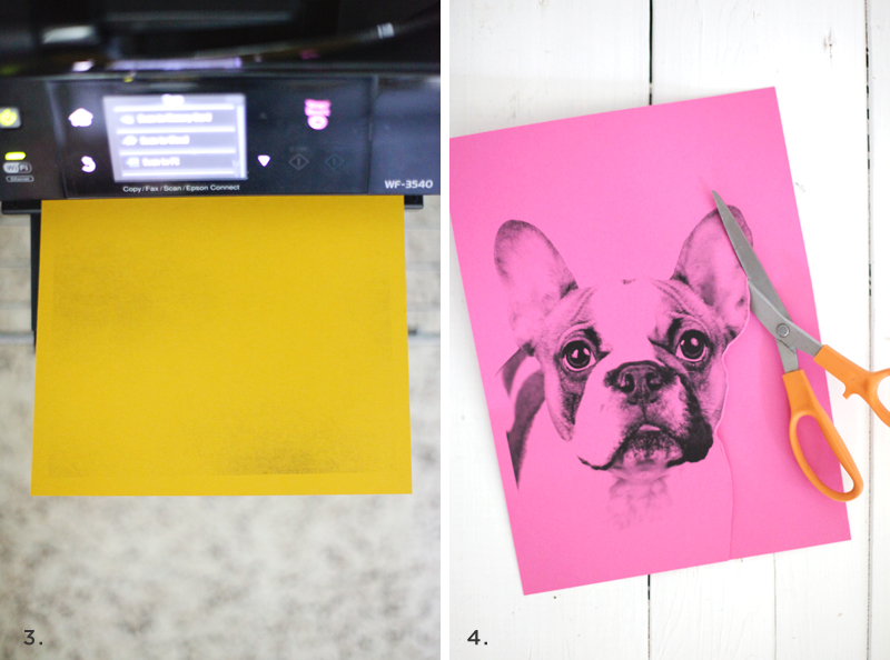 Pop Art Pet Portraits— Inspired by Andy Warhol and easy to make!