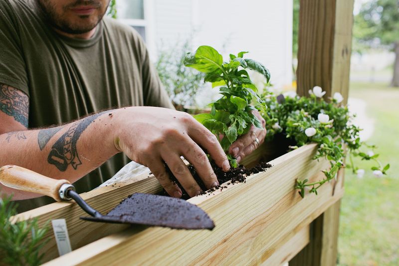 Build your own pergola - planting herbs (click for more). jpg
