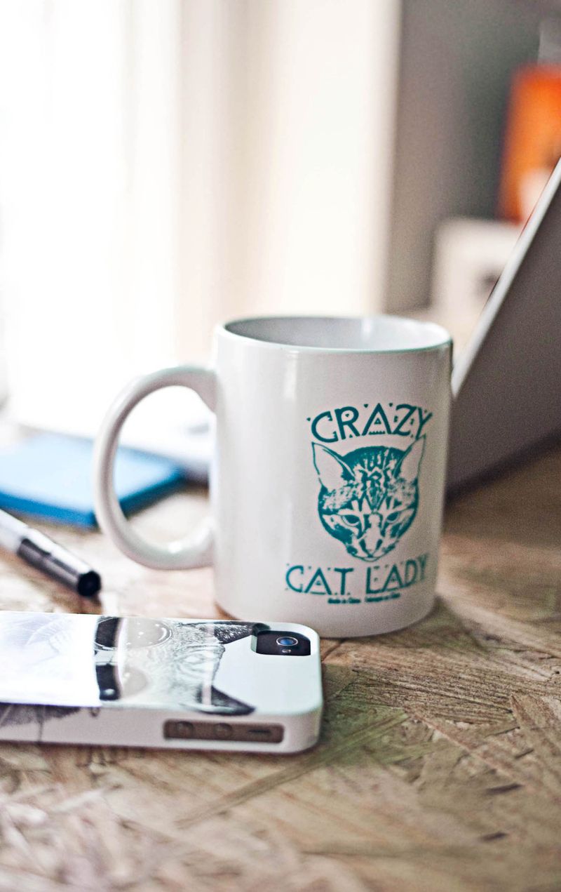 Crazy cat lady mug