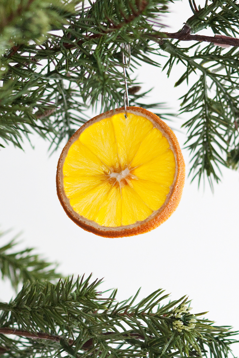 a dried citrus ornament hanging from a Christmas Tree