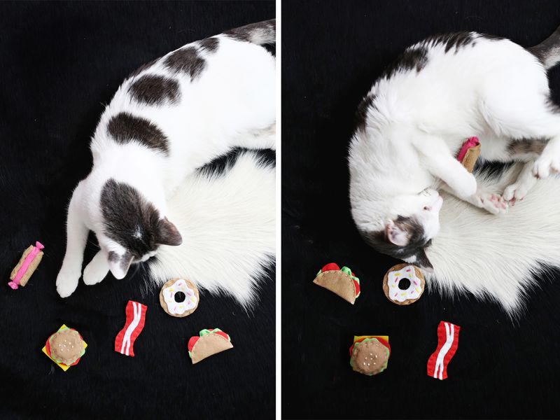 Adorable! Junk Food Cat Toy DIY (click through for tutorial) 