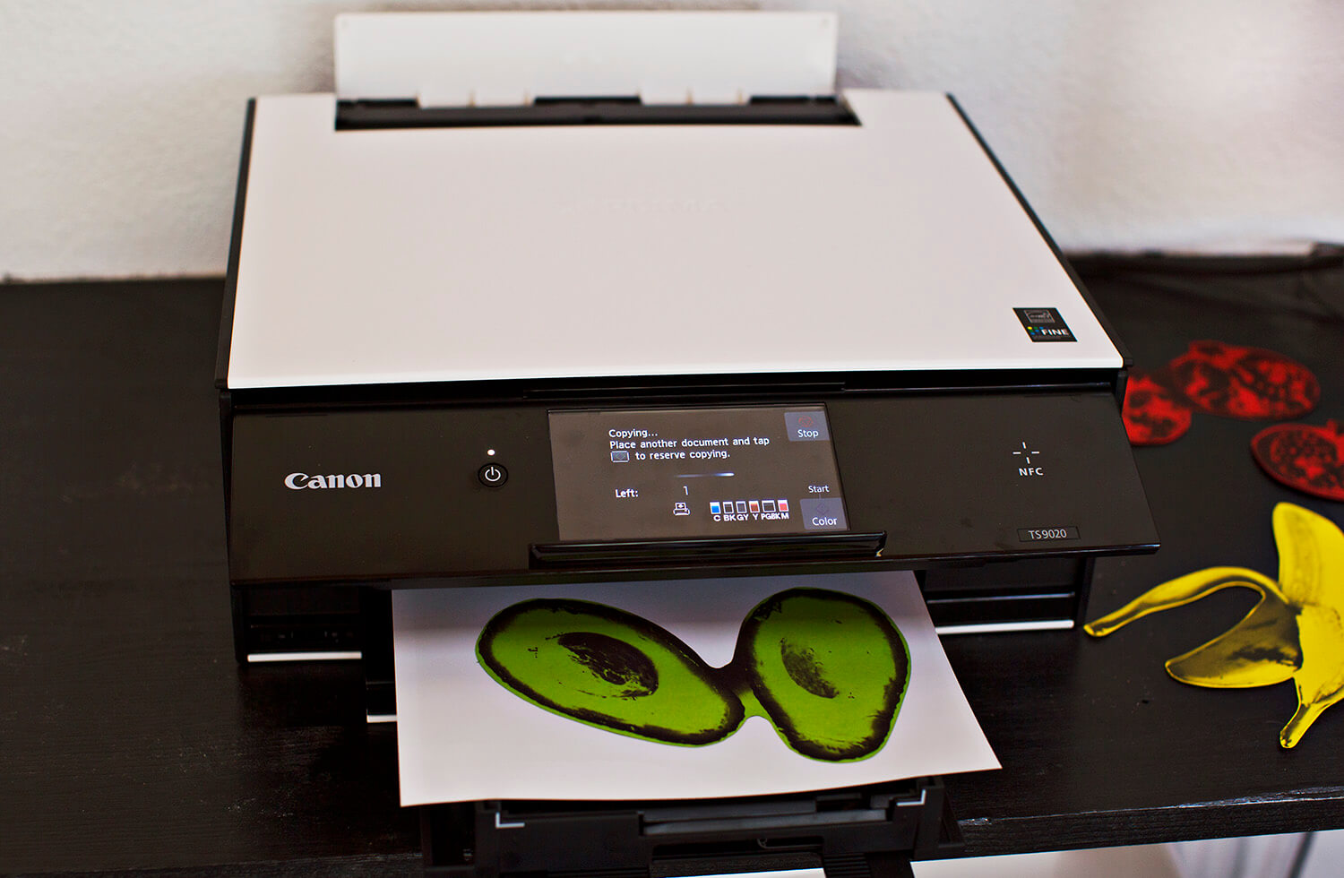 Ink jet vinyl printing project