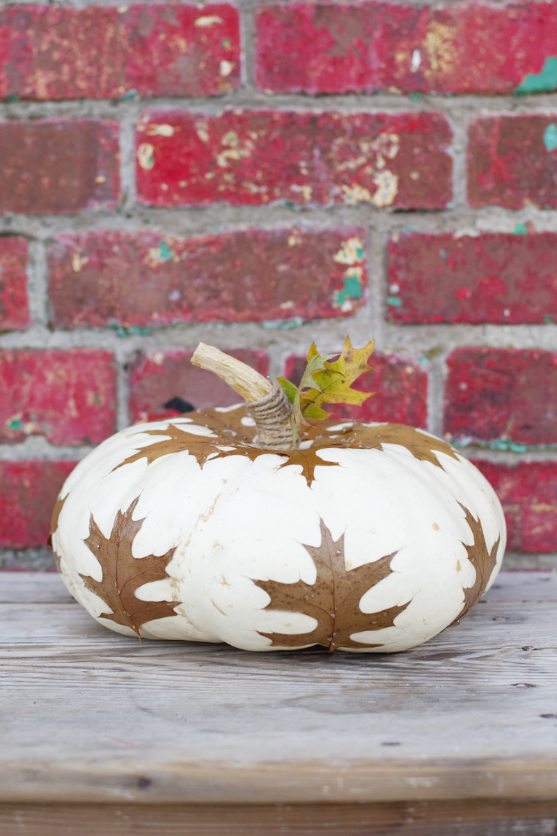 Decopage pumpkins with fallen leaves to add a natural vibe to your fall tablescape