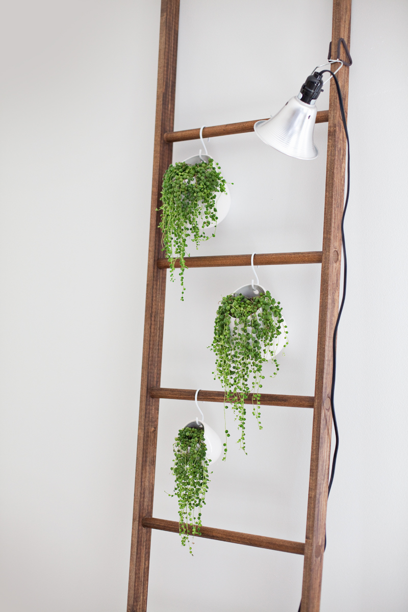 5 Ways to Style a Leaning Ladder