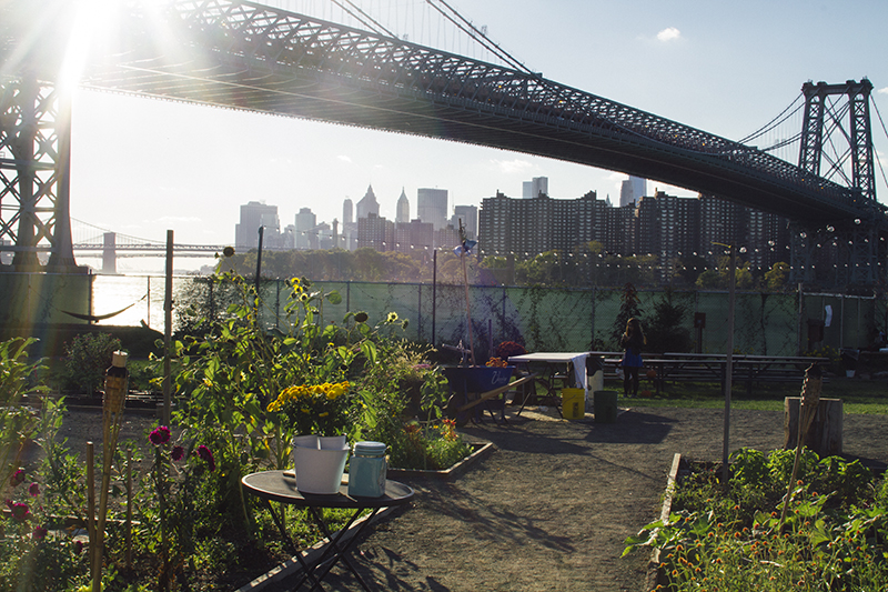 9 Things To Do In Brooklyn This Autumn (click through for more!) 