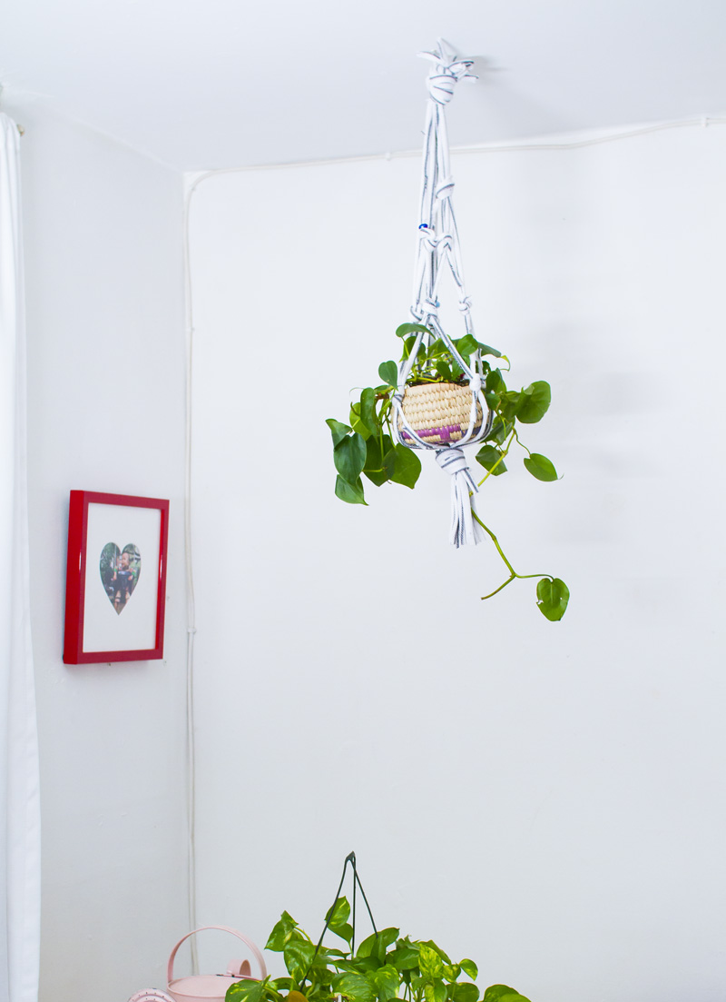 Make A Hanging Planter From An Old T-Shirt! (click through for tutorial) 