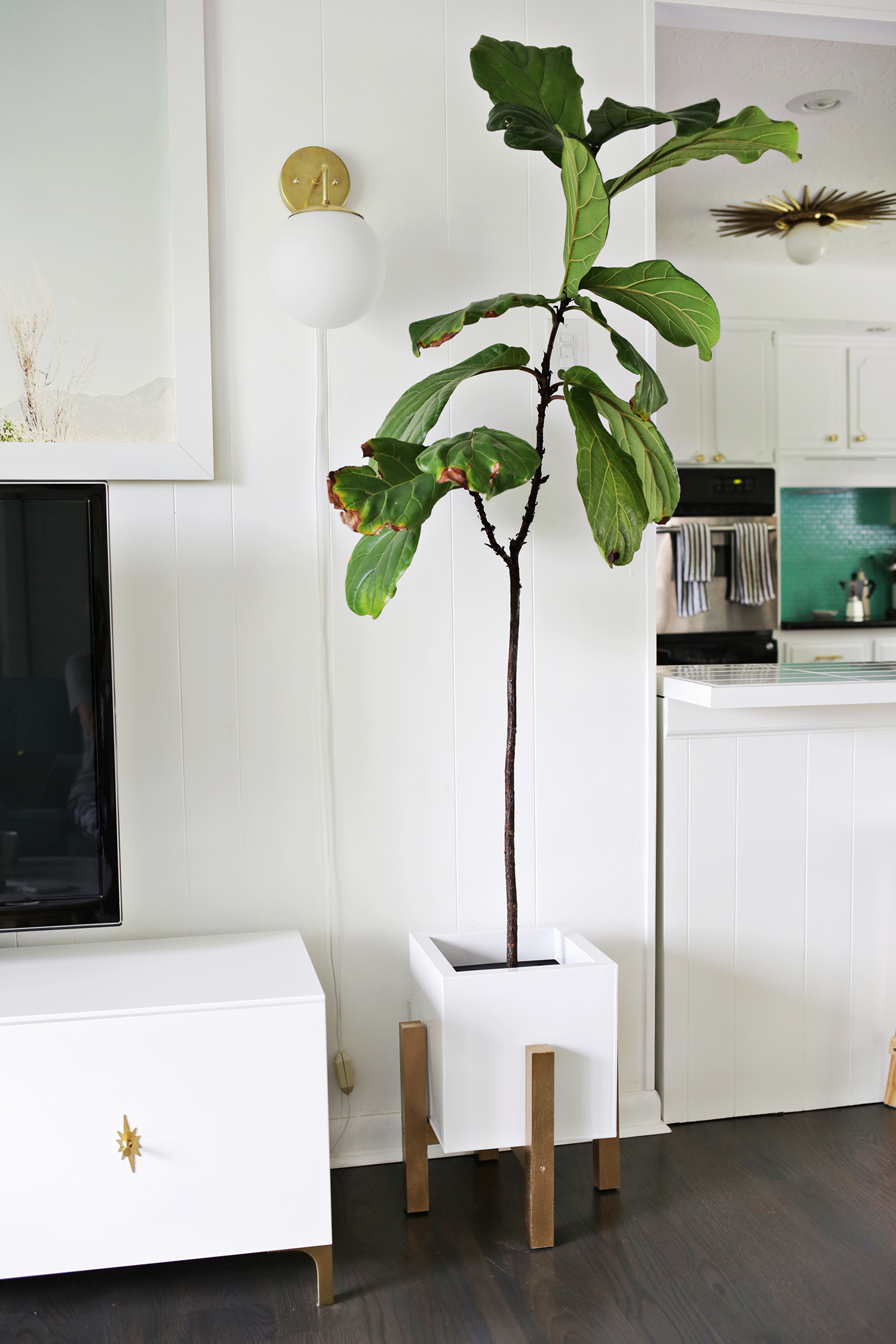 Mid century wooden plant stand DIY (click through for tutorial) 