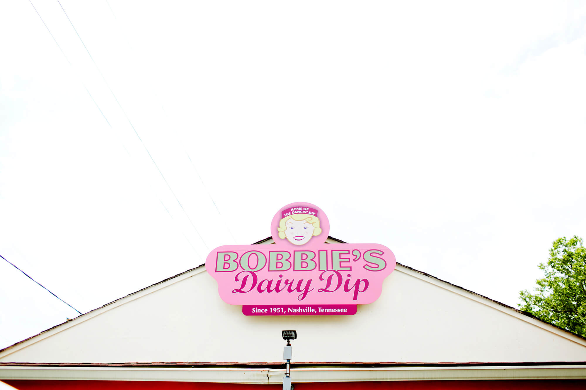 Bobby's Dairy Dip