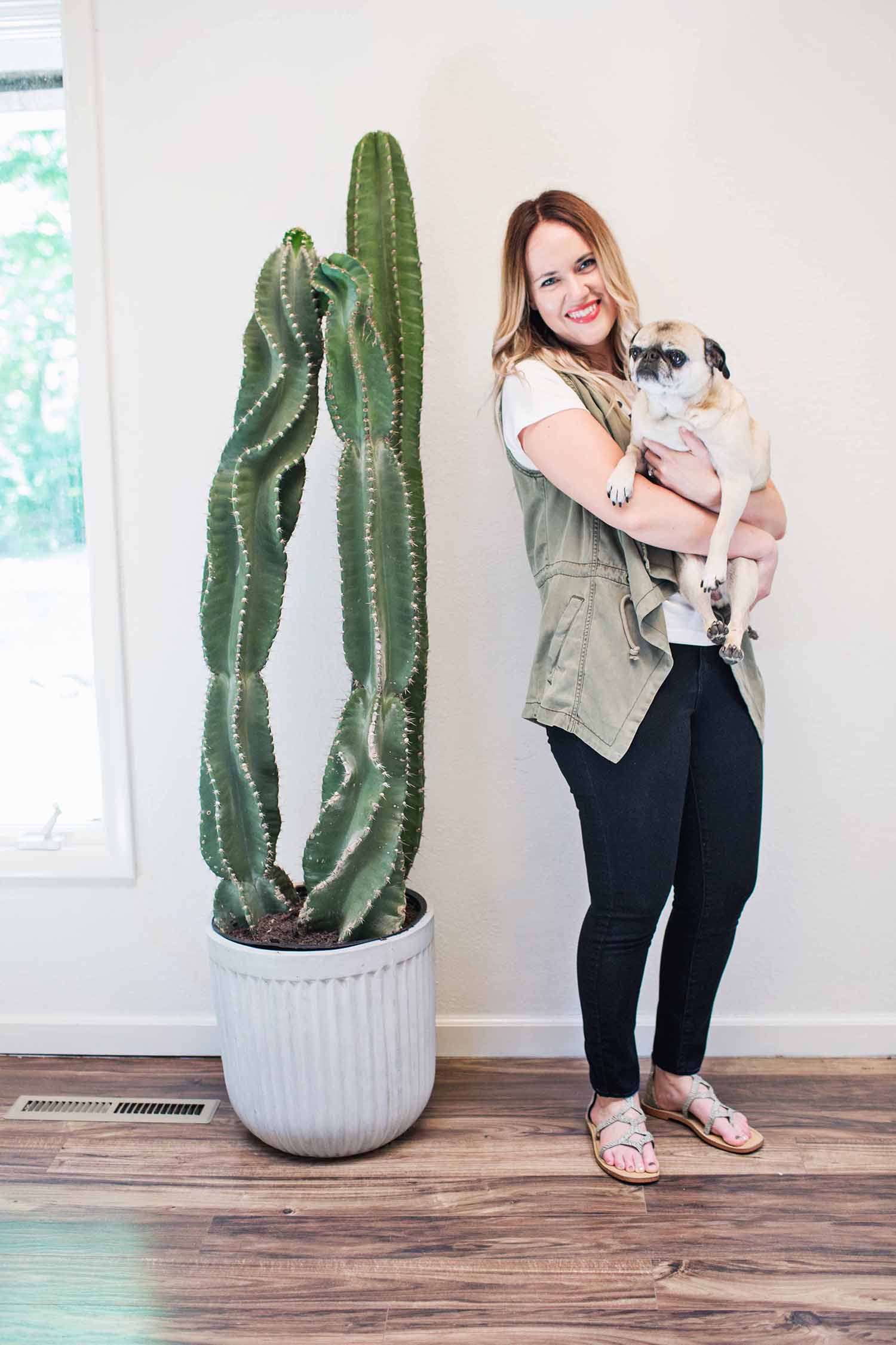 Emma's giant cactus