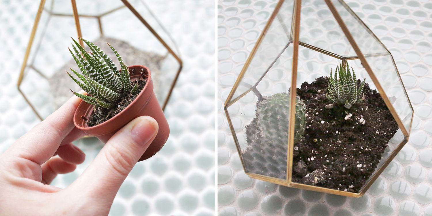 Crystal + Cactus Terrarium 