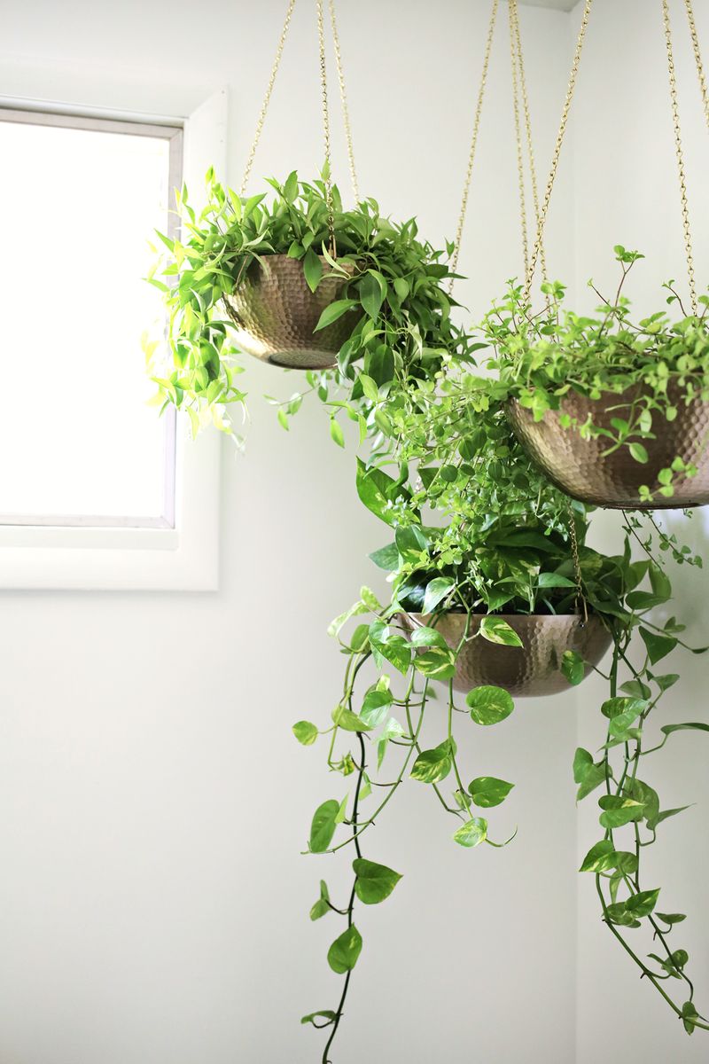 Hanging planters out of metal bowls—love this! (click through for tutorial) 