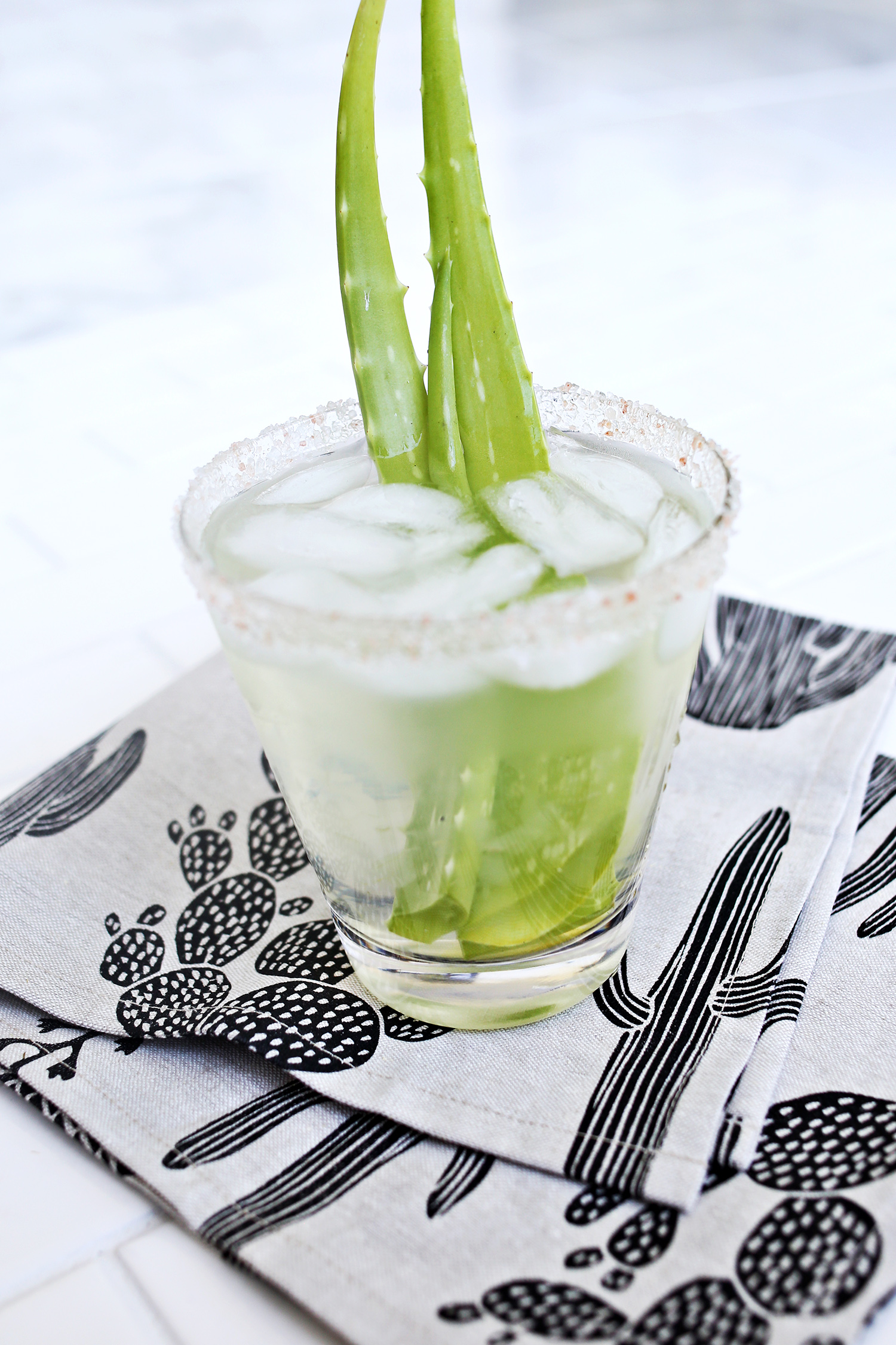 Aloe Margarita Recipe 