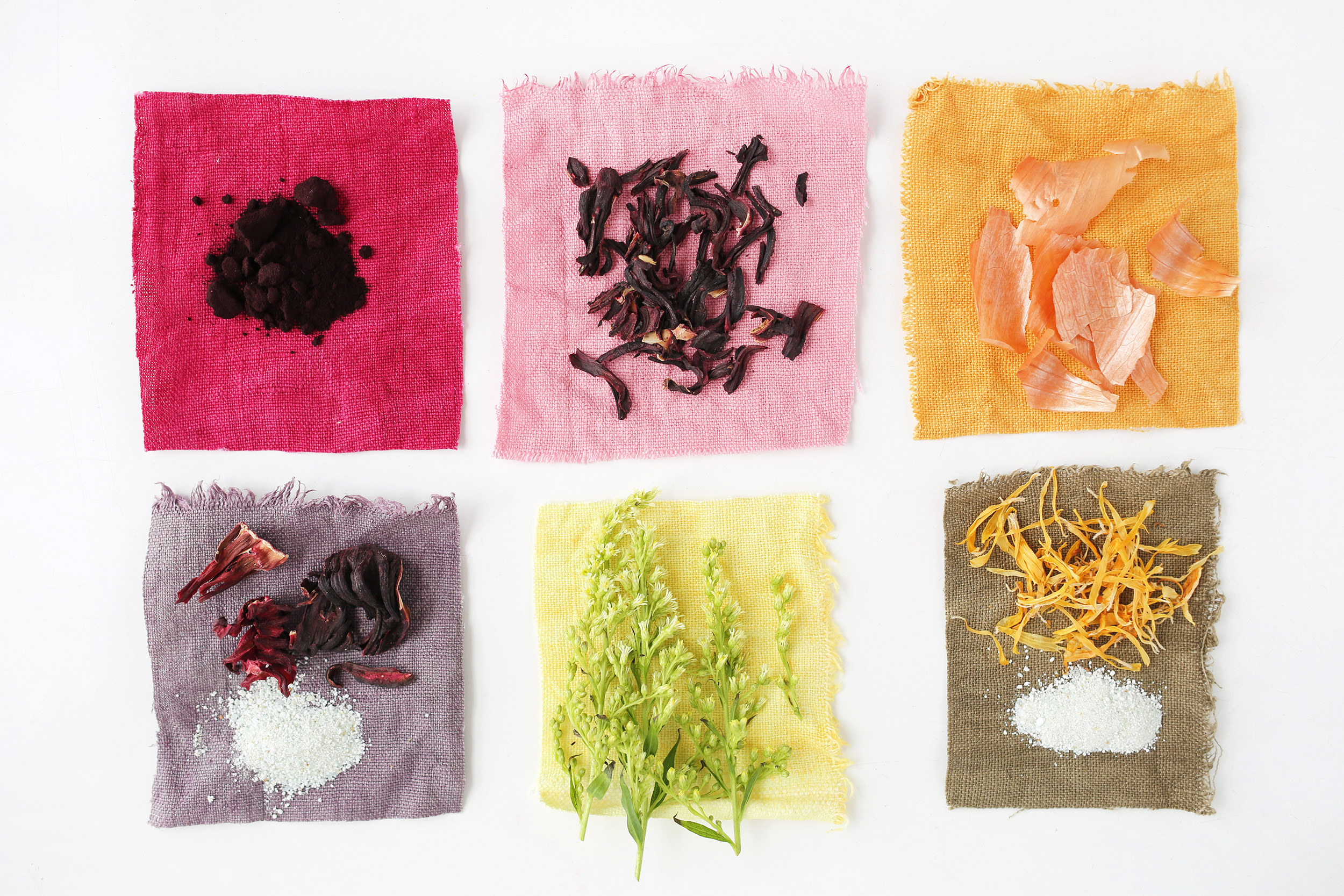 A color study with natural plant dyes